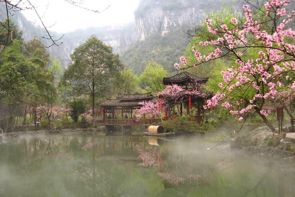 清風徐來花嫣然
