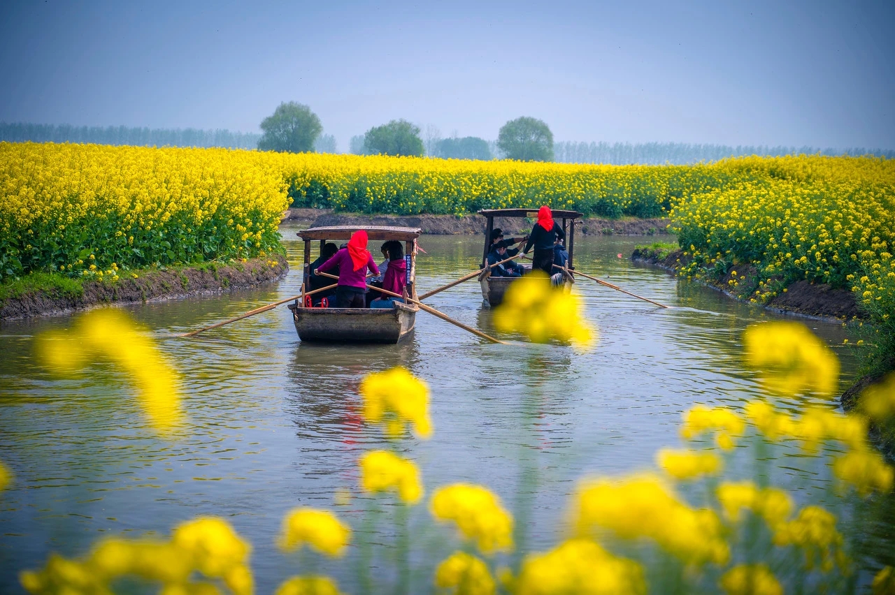 和春天一起，共赴油菜花海