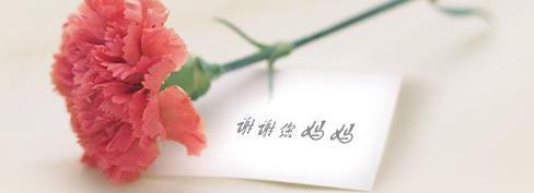 母親，母親