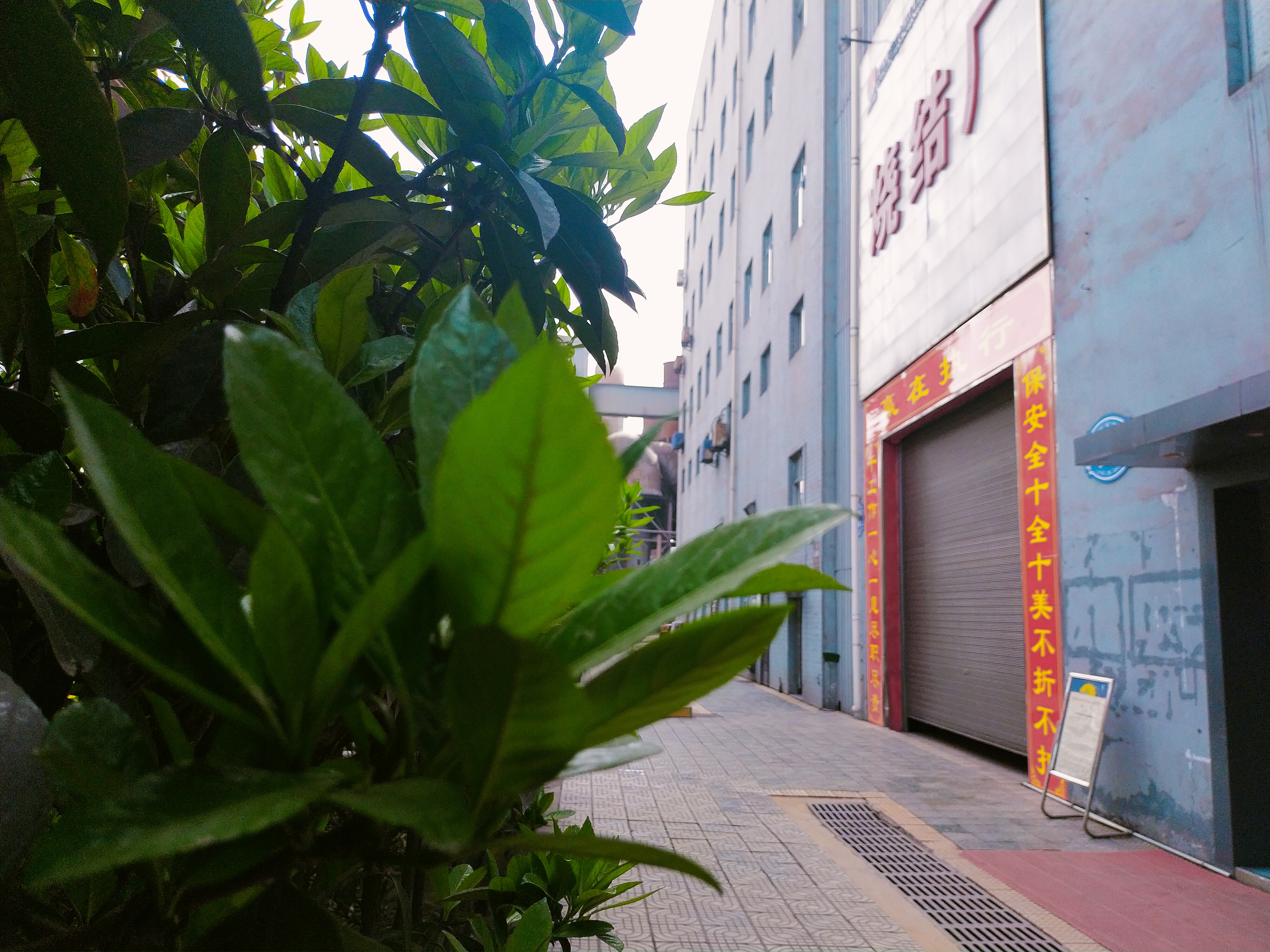 火紅的五月