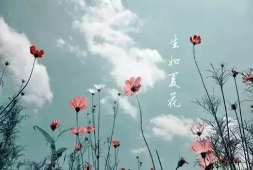 花樣年華，生如夏花