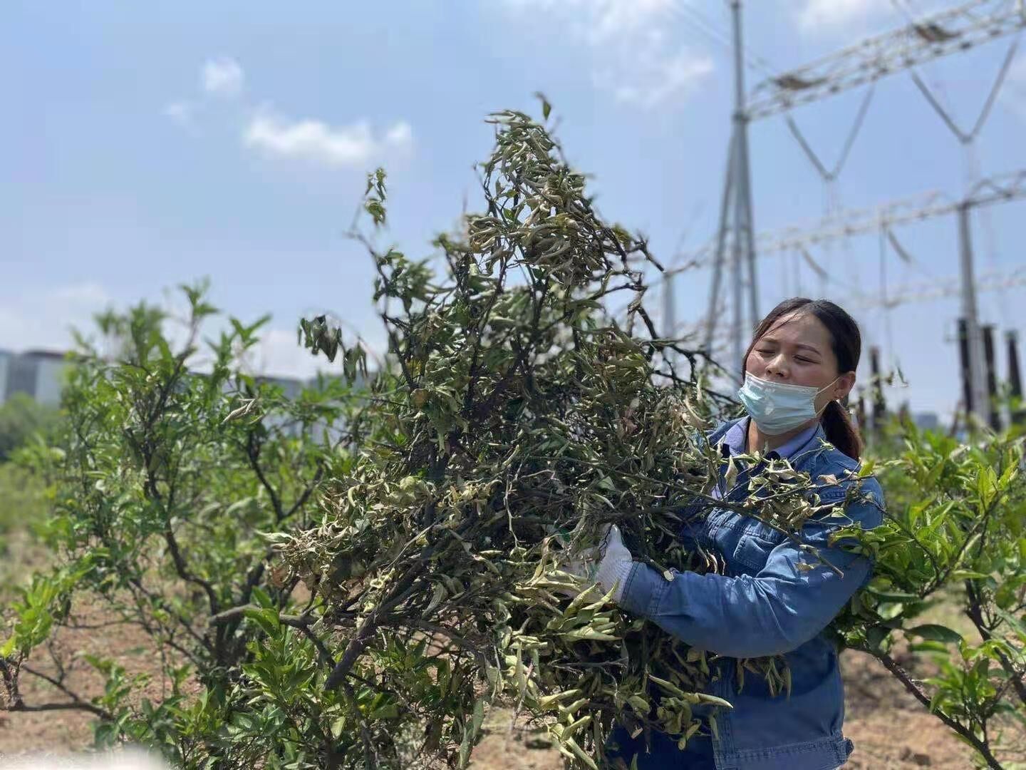 嘿 我們這個班