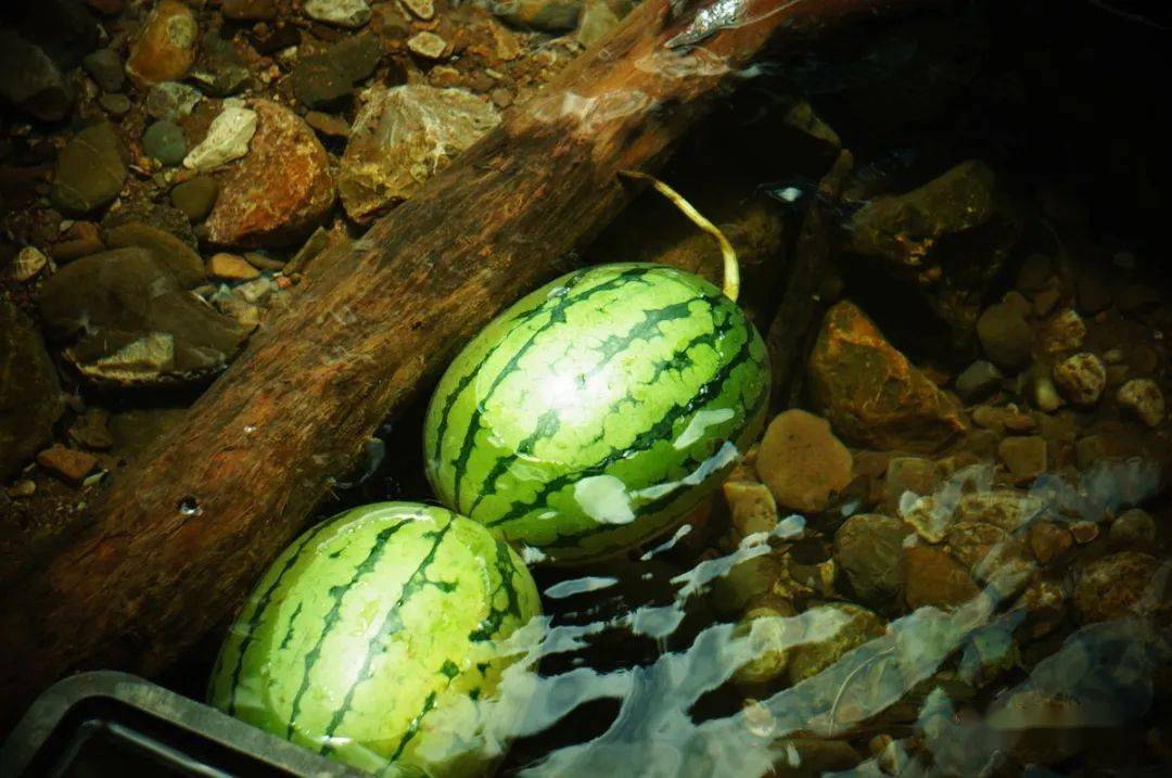 井水鎮(zhèn)西瓜，才是夏天的味道