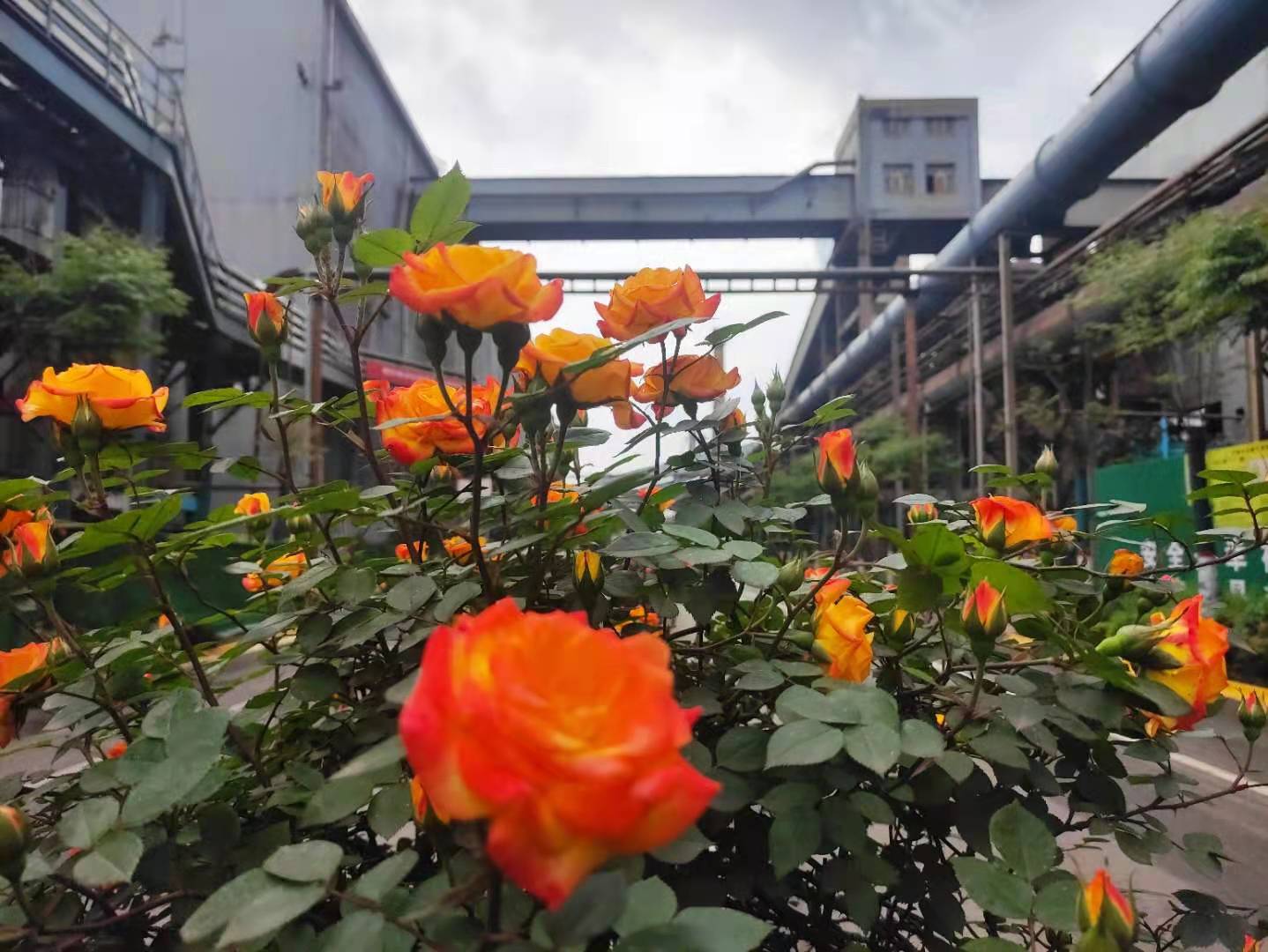 多彩鋼城，共建共享