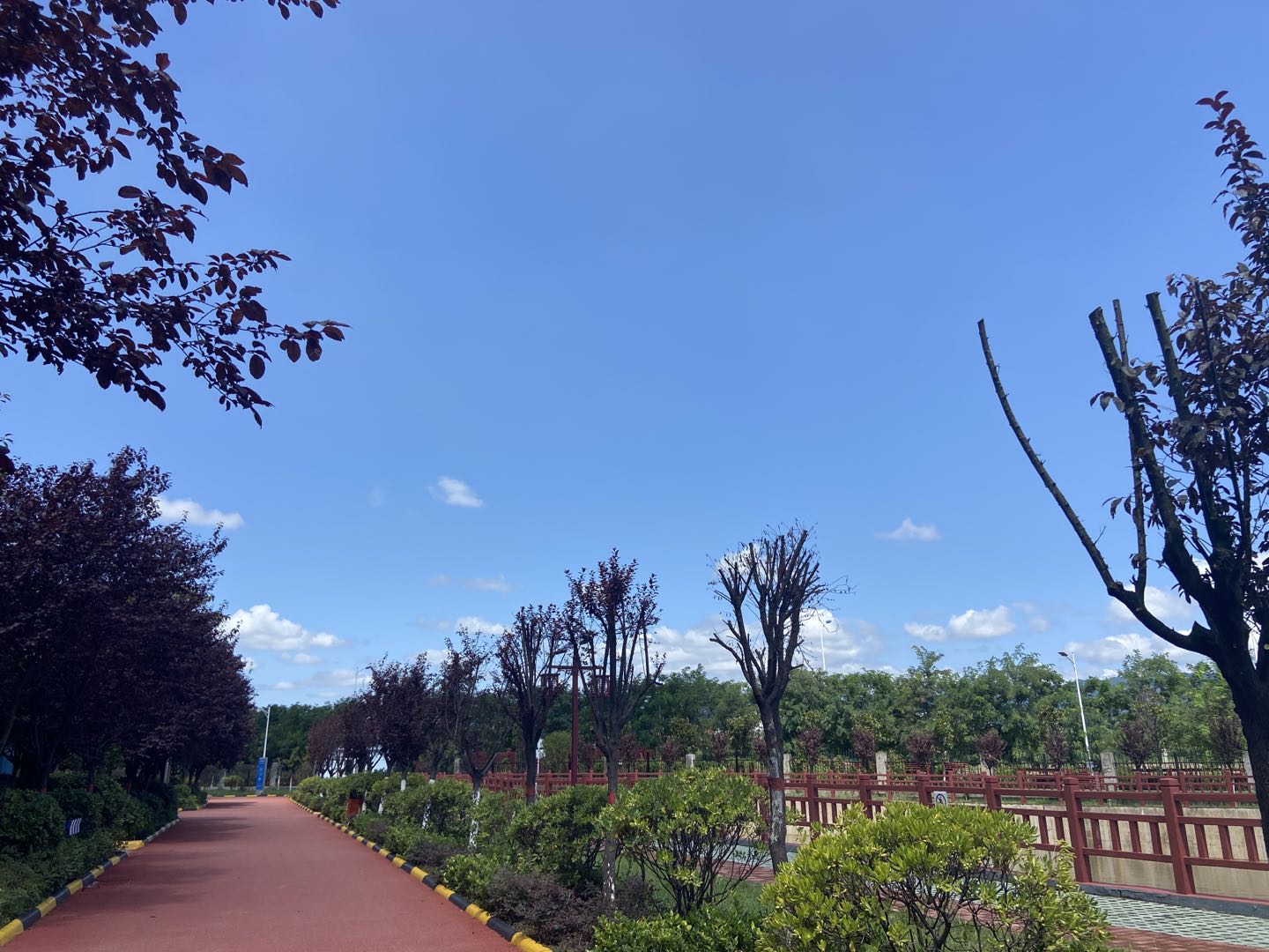 又到風(fēng)起葉落時(shí)！漢鋼那么美，我想帶你去看看