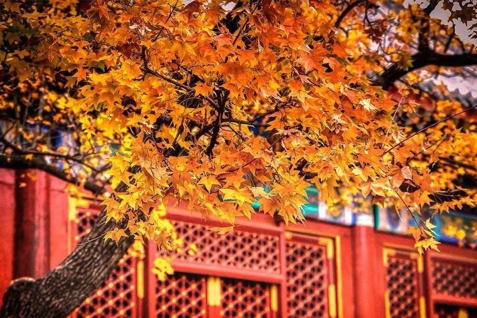 天涼好個(gè)秋