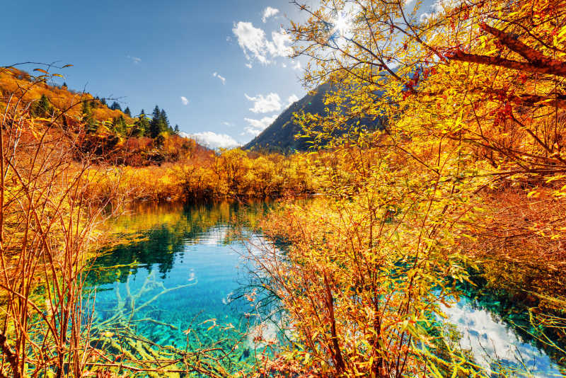 共秋色，紅塵馳騁