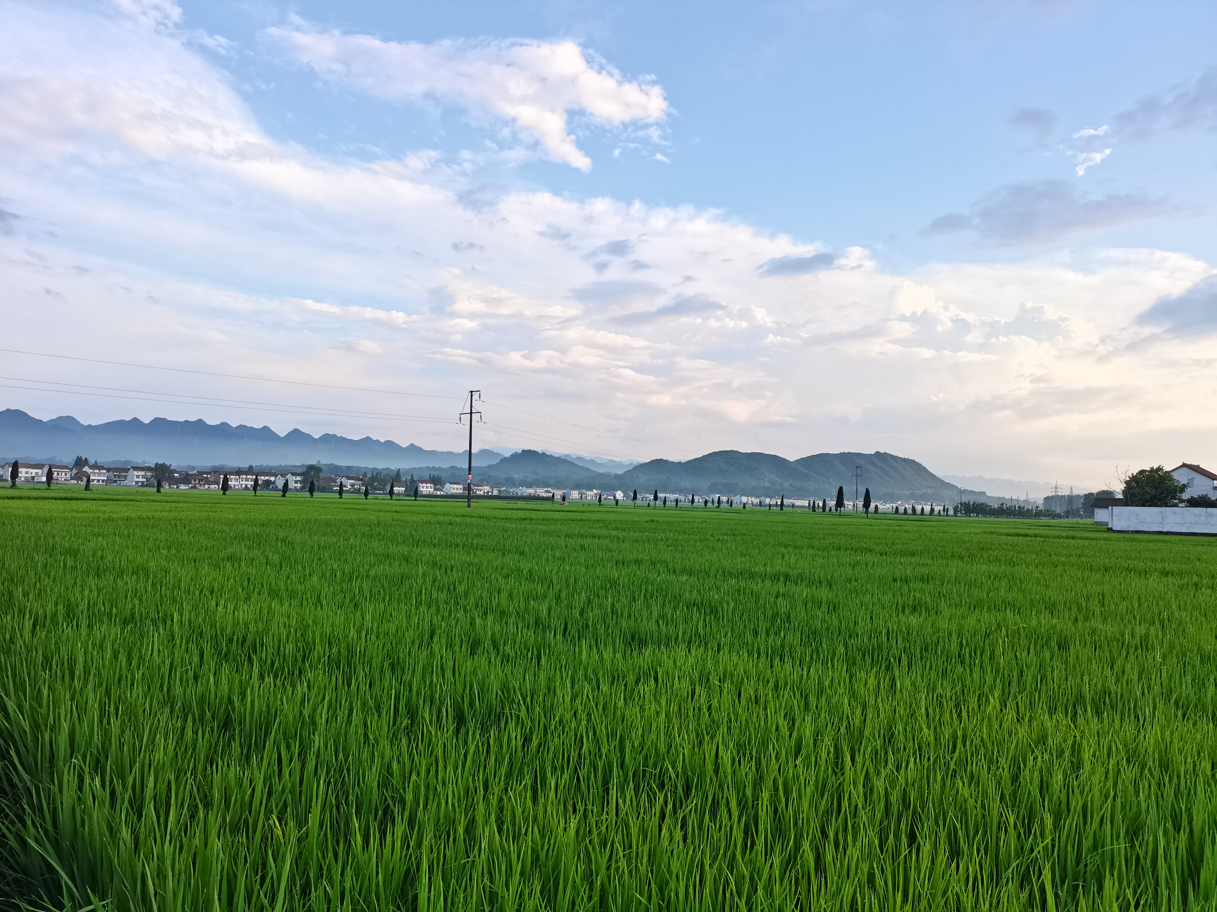 手機里的幸福時光