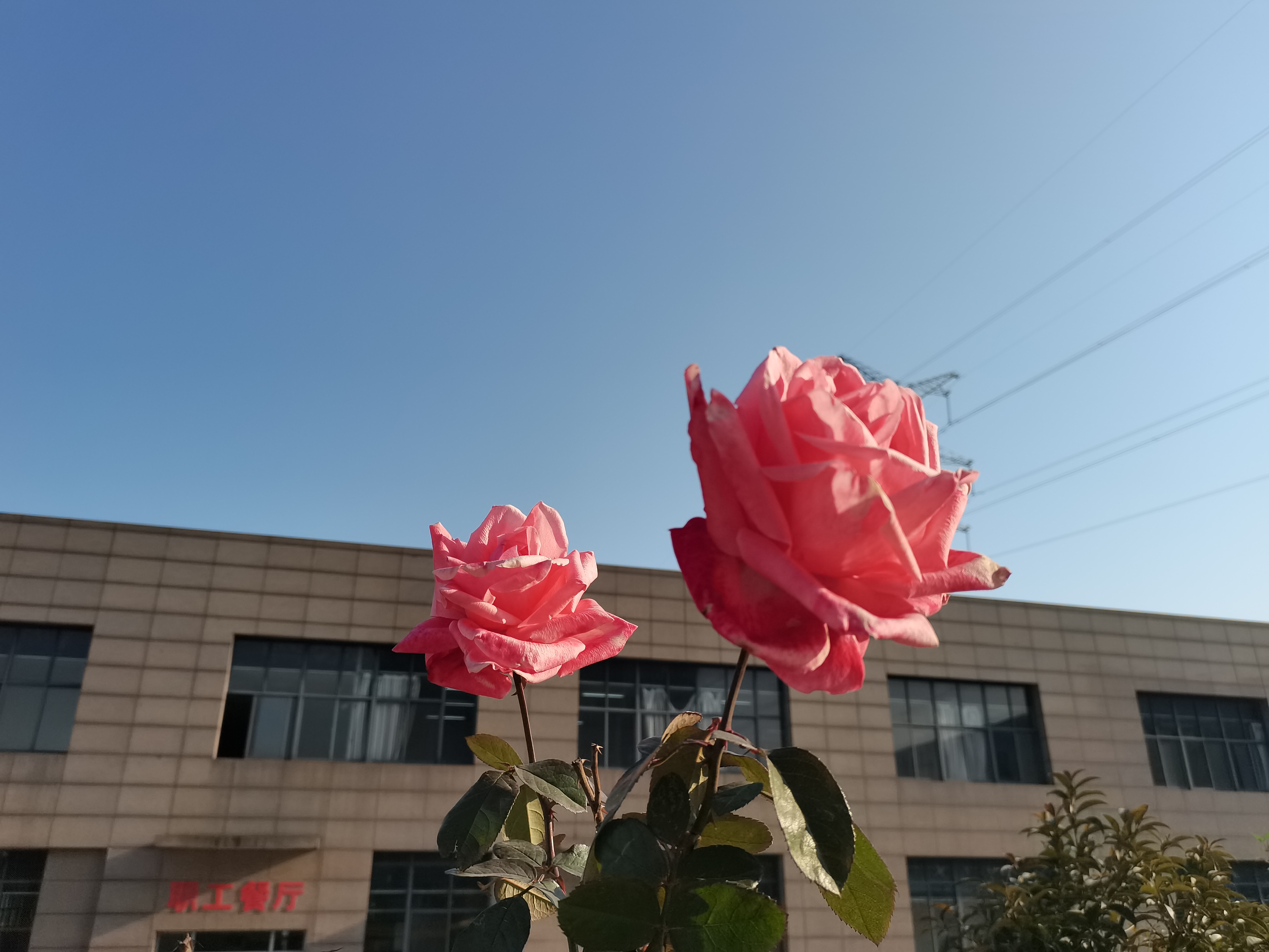 手機里的幸福時光