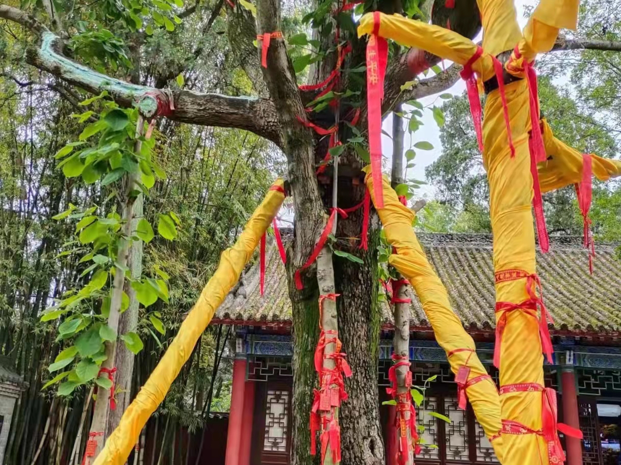 別過舊歲，走進(jìn)新年