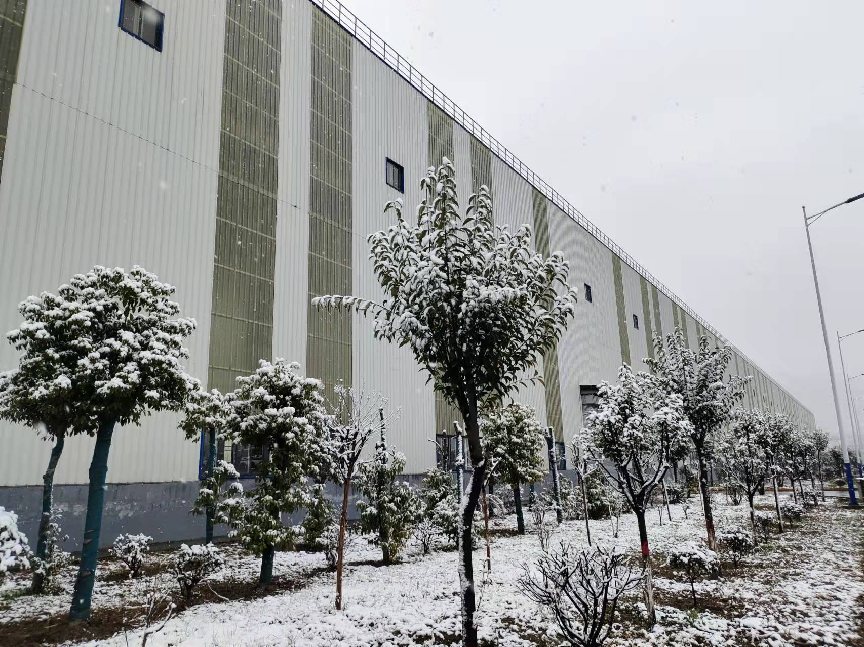 春雪飛花，爛漫了整個春天