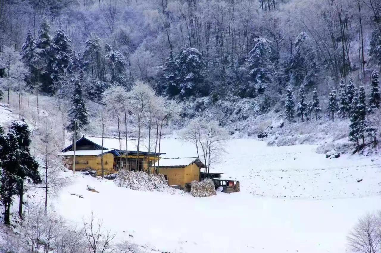 立春迎雪，歲時(shí)飛花