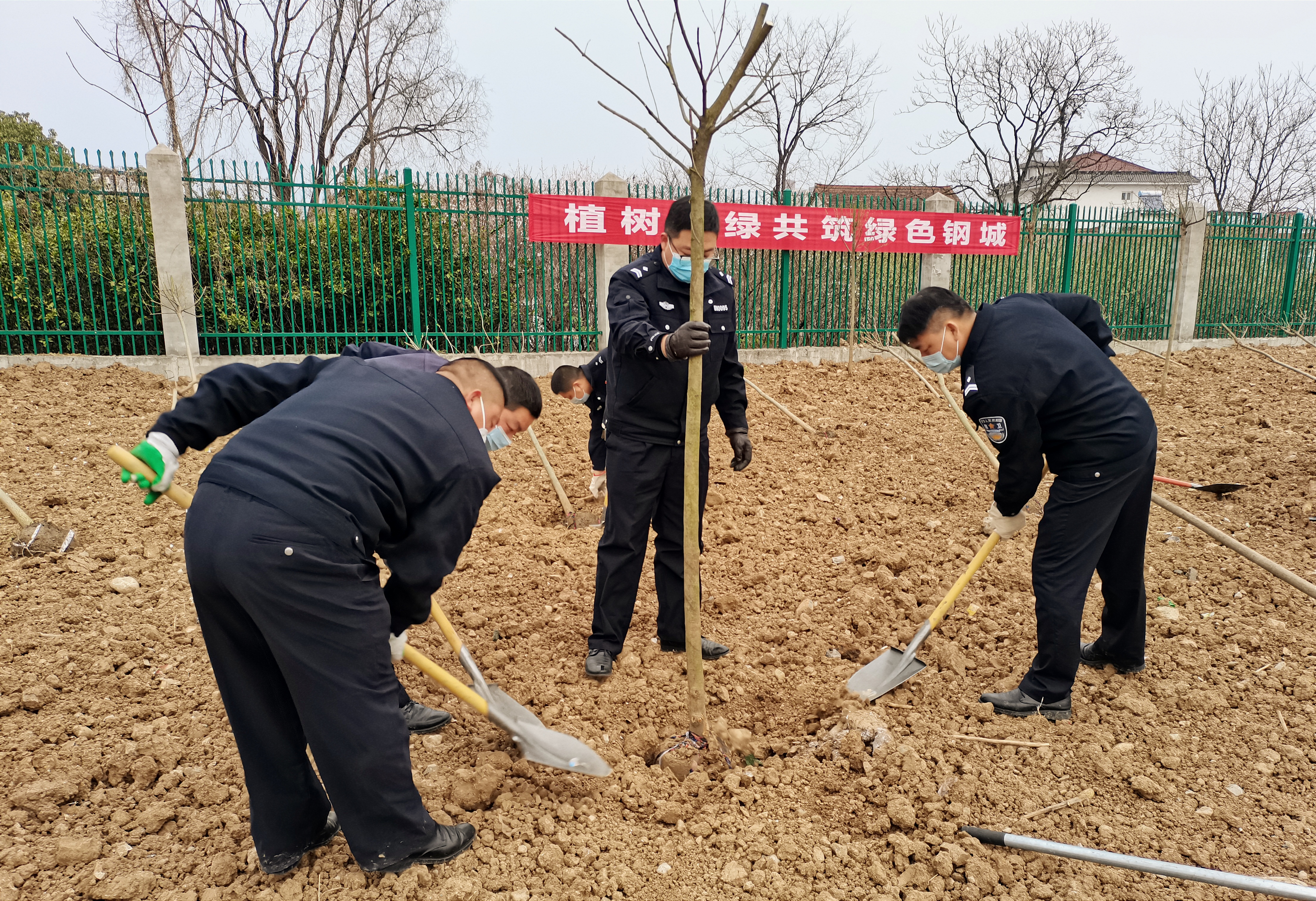 鋼城植樹記