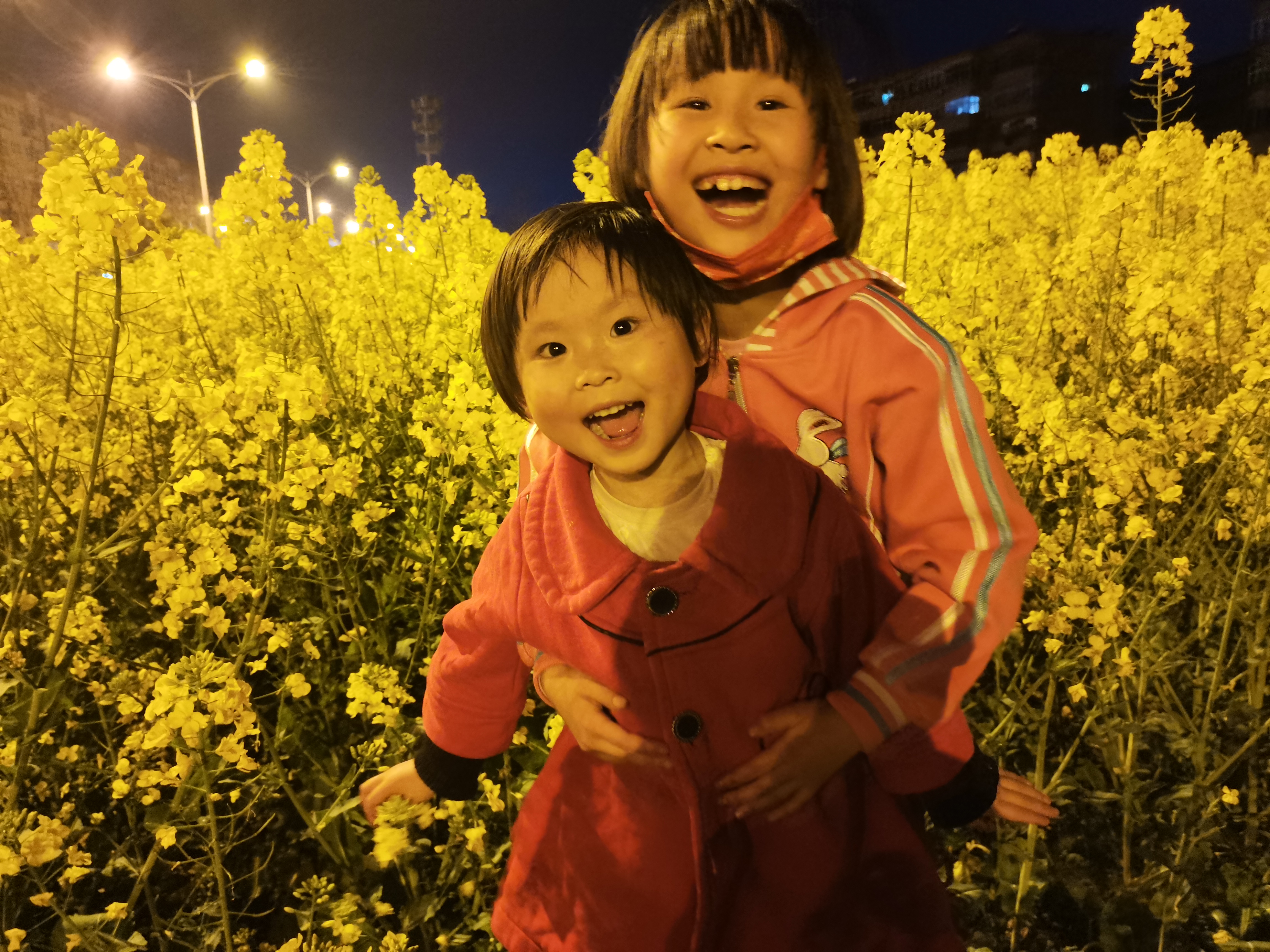 待到下次花黃時，許你一片花如海         ---寫給女兒們的一封信