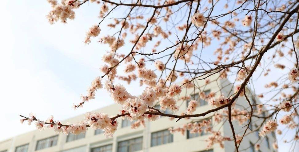 春意賦麗，生命常新