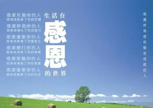 踐行“八字要求”，勇于擔當甘于奉獻——學“感恩、知責、律己、有為”有感