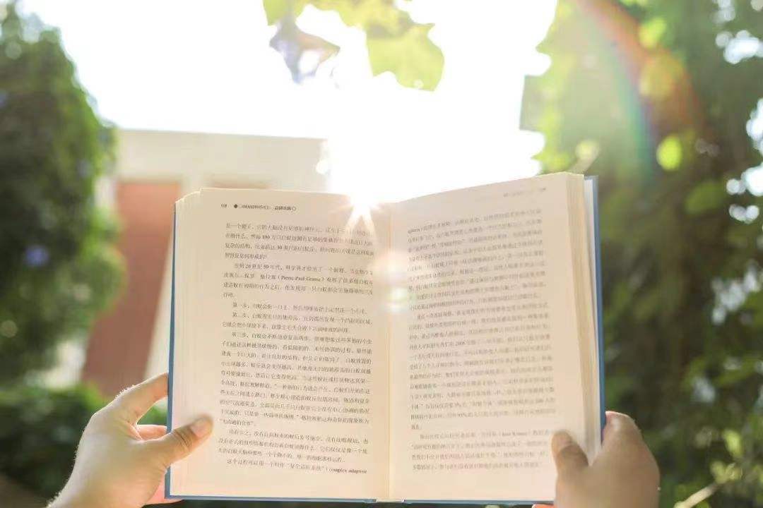 午后閑讀