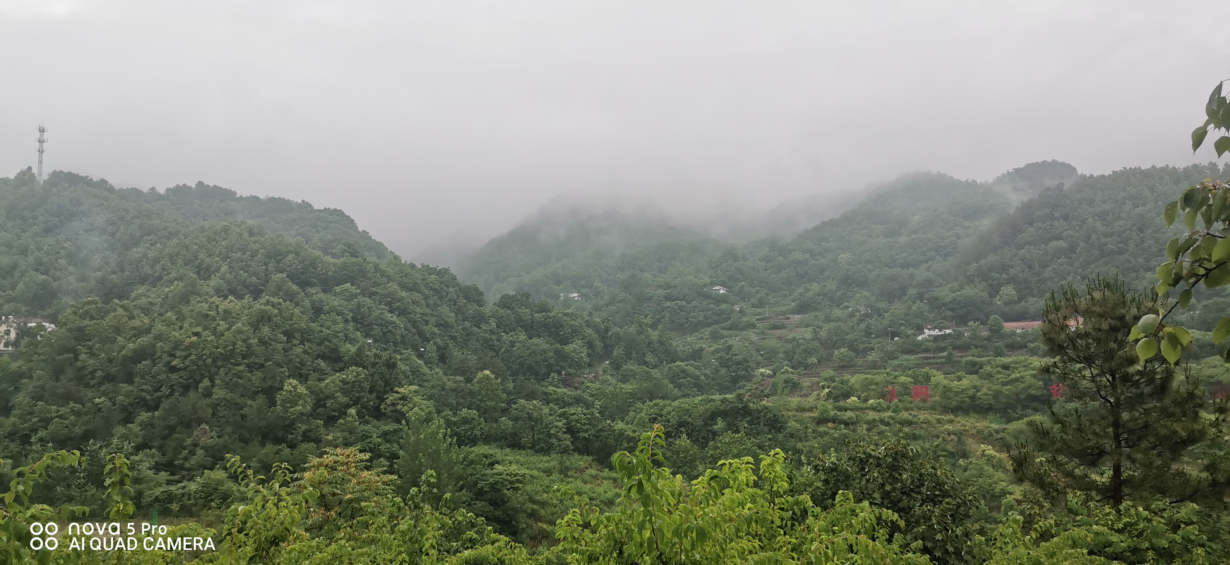 天蕩山深秋雨后語(yǔ)