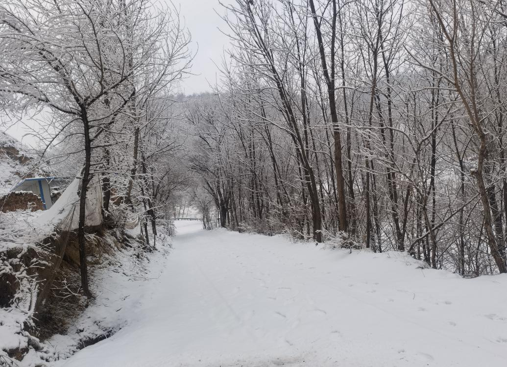 今我來思，雨雪霏霏
