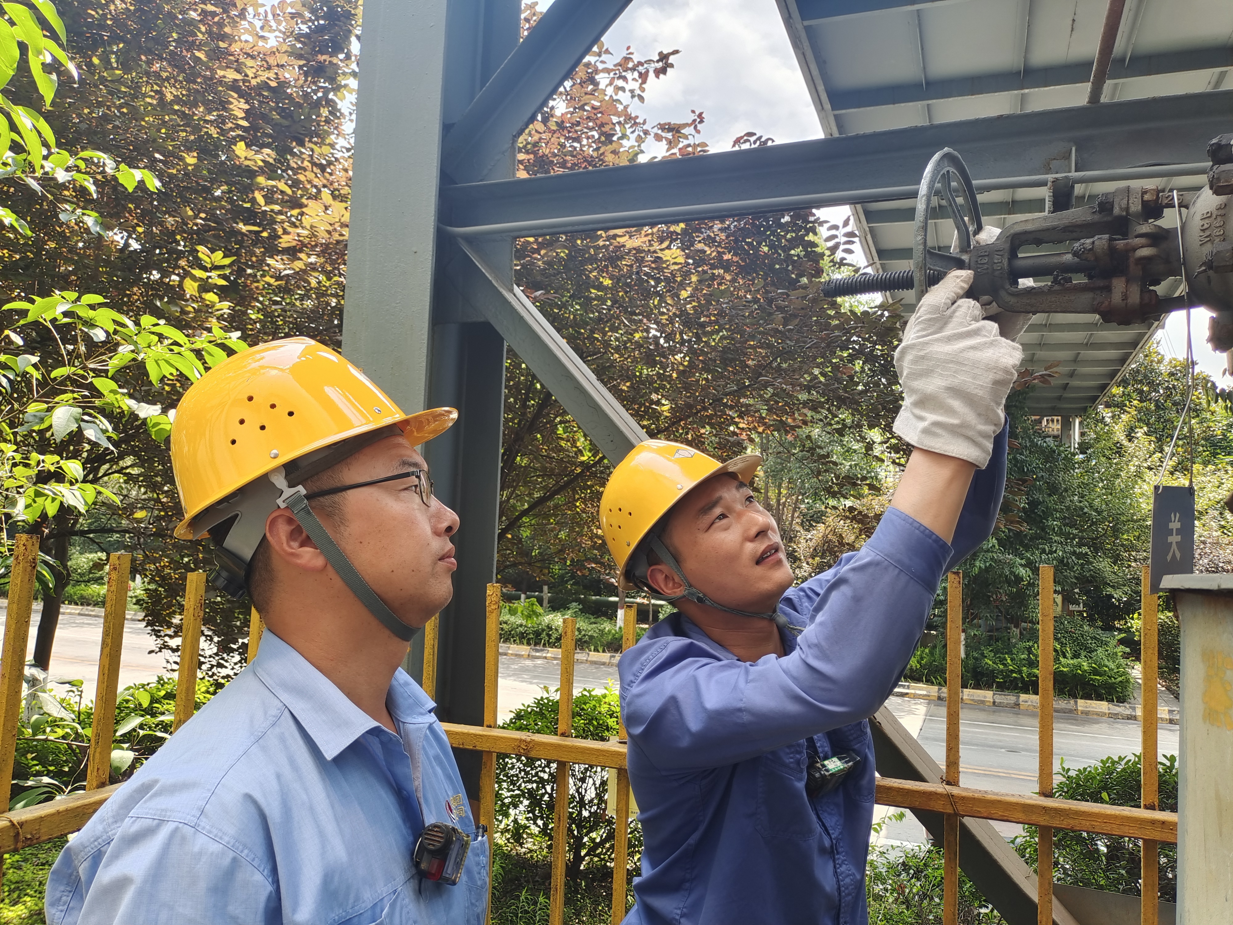 厚植成長(zhǎng)沃土，助推青年人才脫穎而出
