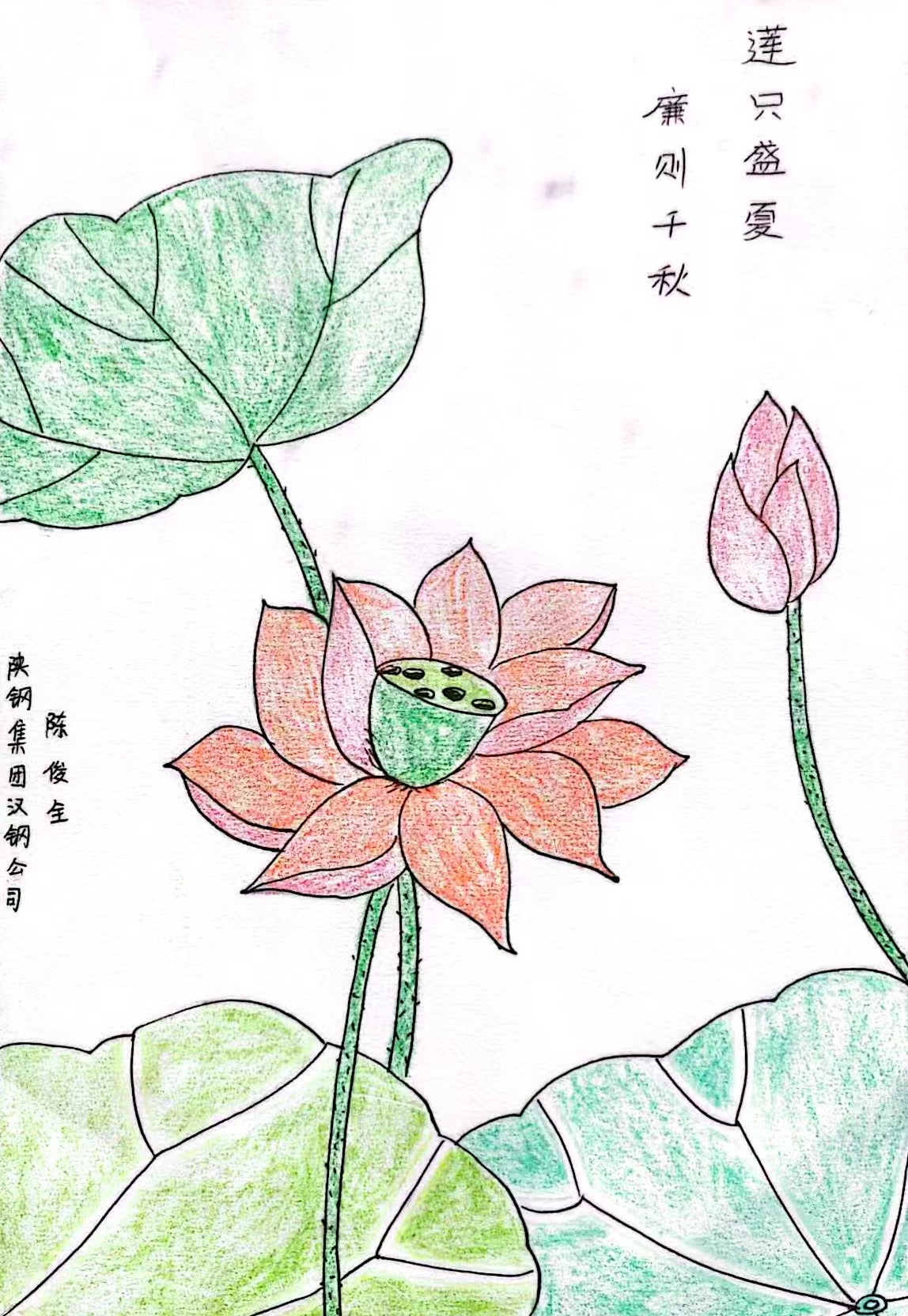 灼灼其蓮，“廉”入我心
