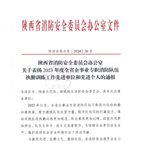 喜訊！漢鋼公司應(yīng)急救援中心榮獲多項(xiàng)殊榮