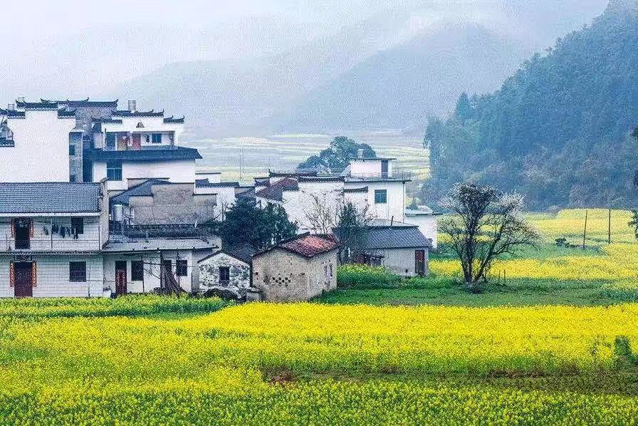 【鋼城文苑】陌上花開(kāi)再逢君