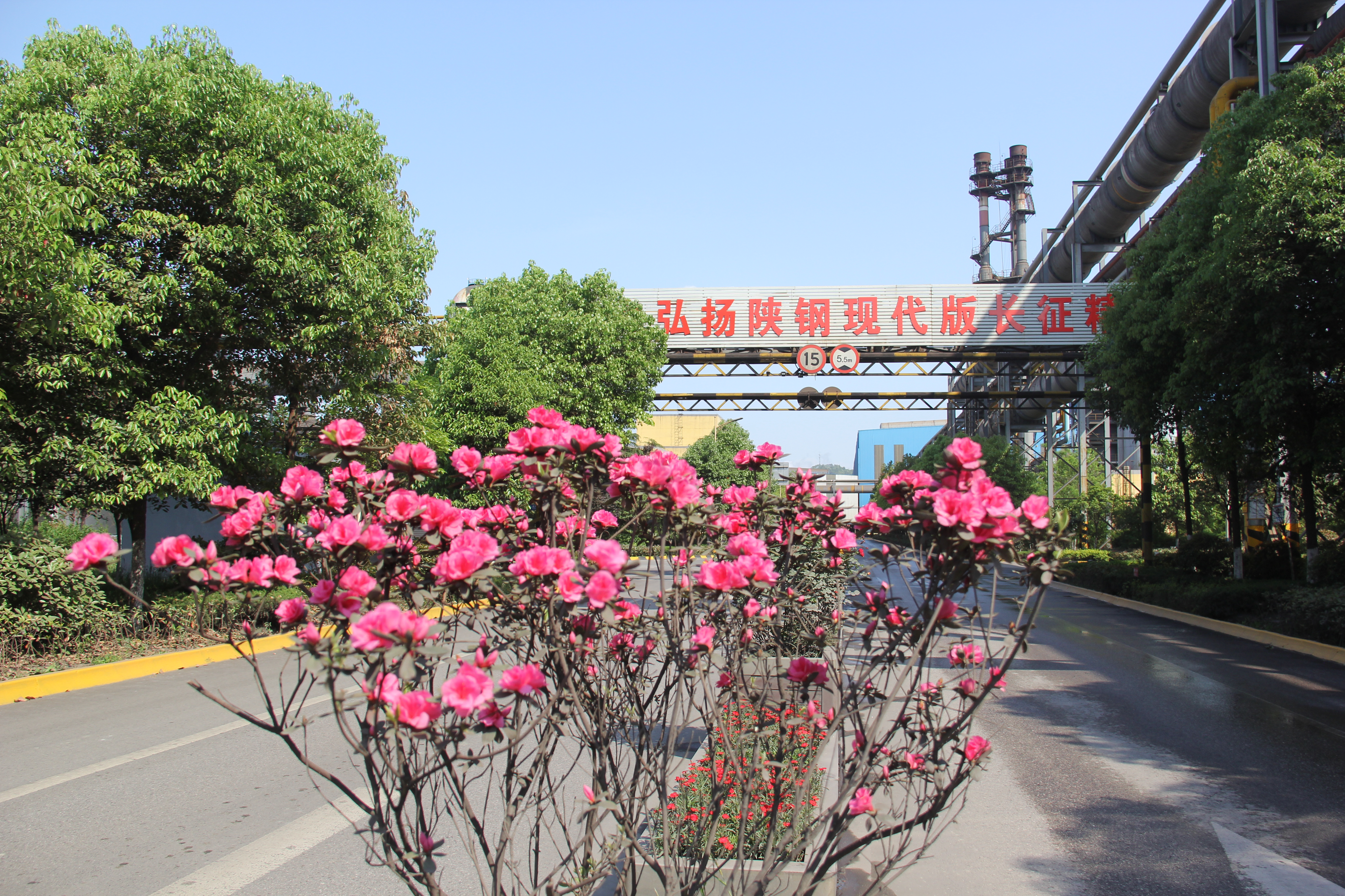 【美麗漢鋼】鏡頭下的漢鋼春