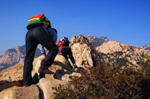 從定軍山到牛背梁，一“山”更比一“山”高