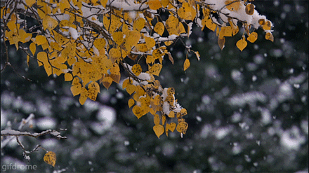 聽，雪落下的聲音
