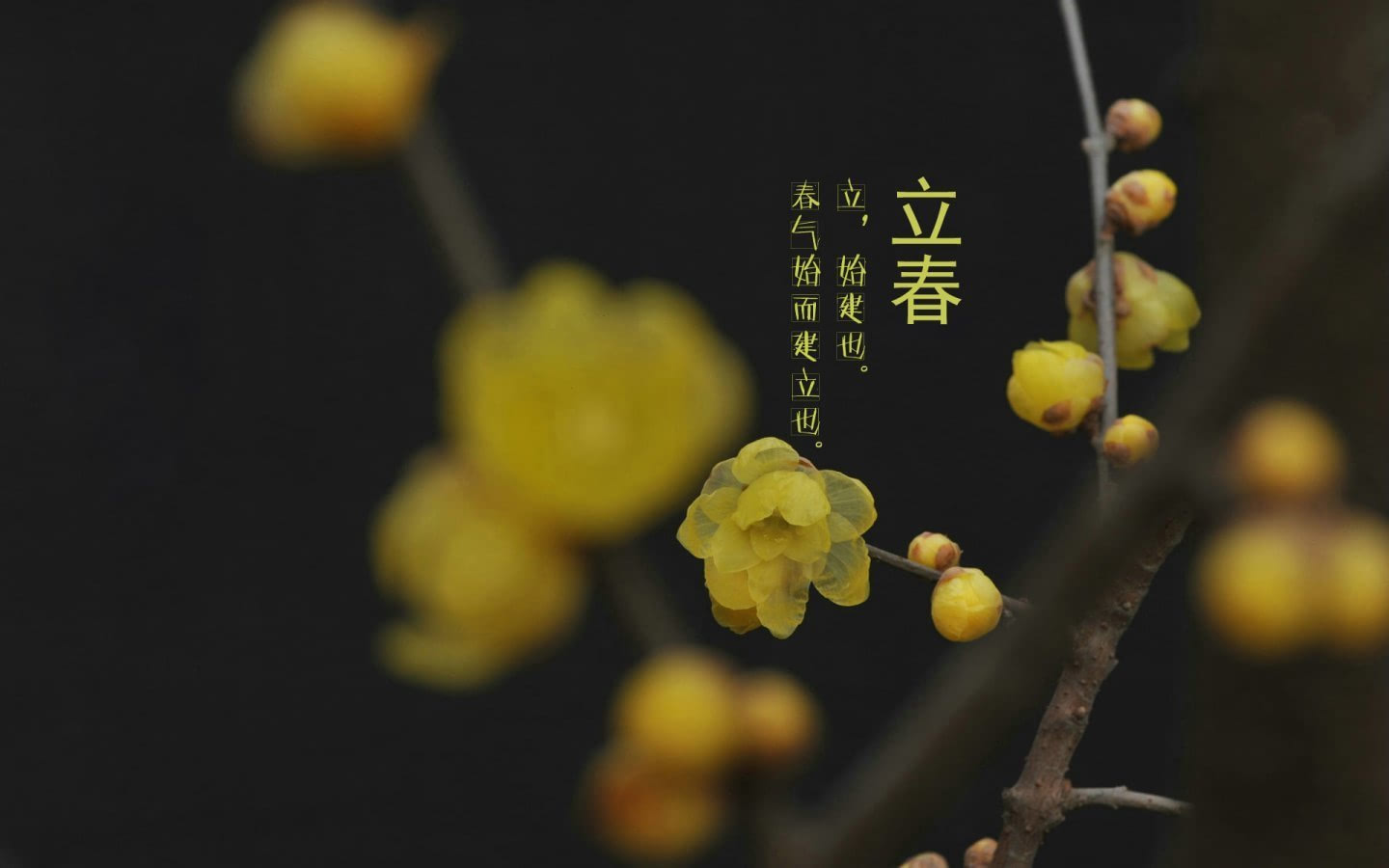 立春絮語(yǔ)
